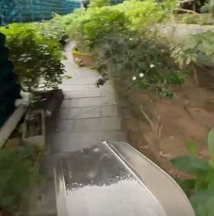 紀念花園體驗 2