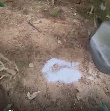 紀念花園體驗 3