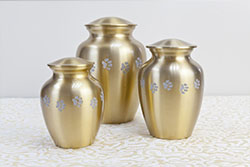 Wooden Chest urn with brass paws - Code - UC - L